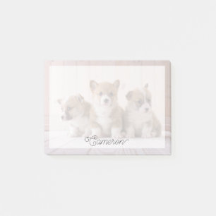 Post-it® Animaux de bébés cutest   3 Baby Corgis