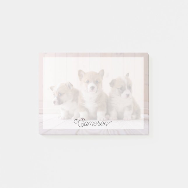 Post-it® Animaux de bébés cutest | 3 Baby Corgis (Devant)