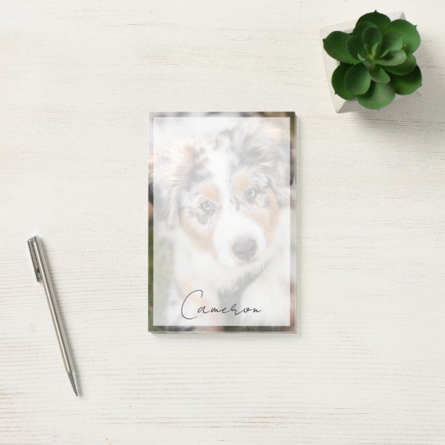 Post-it® Animaux de bébés cutest | Australian Shepherd Pupp (Bureau)