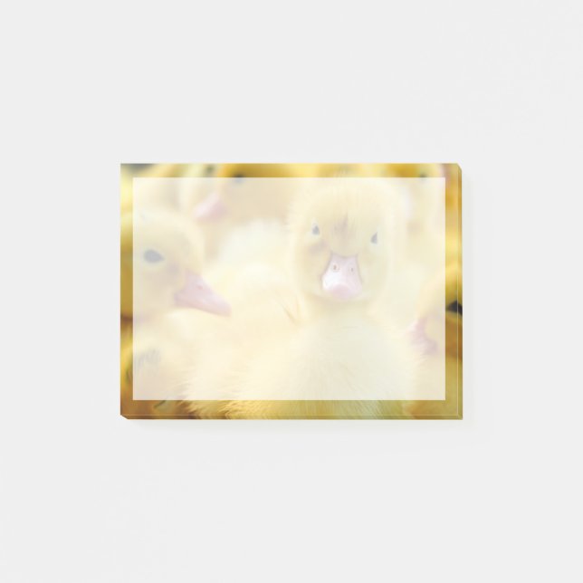 Post-it® Animaux de bébés cutest | Baby Duck Group (Devant)
