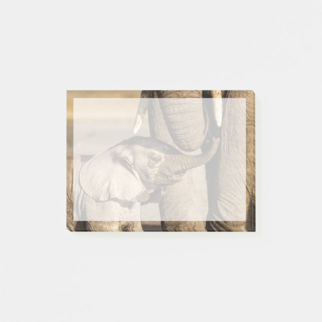 Post-it® Animaux de bébés cutest | Baby Elephant & Mama (Devant)
