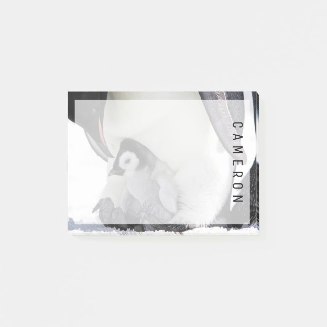 Post-it® Animaux de bébés cutest | Baby Empereur Penguin (Devant)