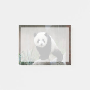 Post-it® Animaux de bébés cutest Baby Panda géant