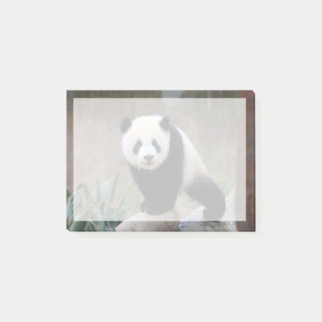 Post-it® Animaux de bébés cutest | Baby Panda géant (Devant)