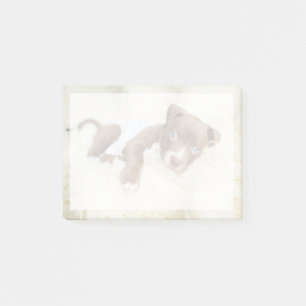 Post-it® Animaux de bébés cutest   Baby Pit Bull Puppy