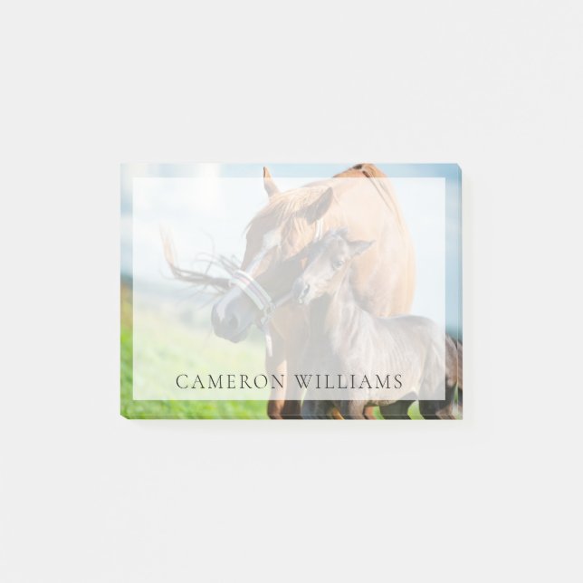 Post-it® Animaux de bébés cutest | Black Foy avec maman (Devant)