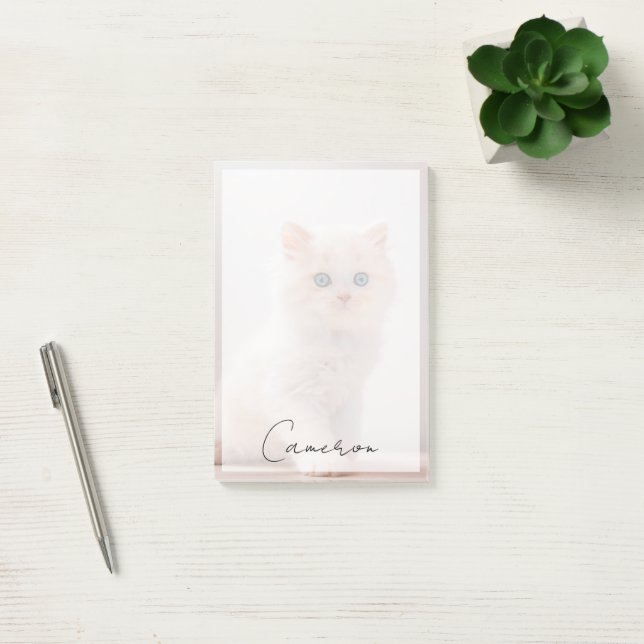 Post-it® Animaux de bébés cutest | Blue Eye Kitten (Bureau)