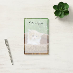 Post-it® Animaux de bébés cutest Blue Eyed Kitten