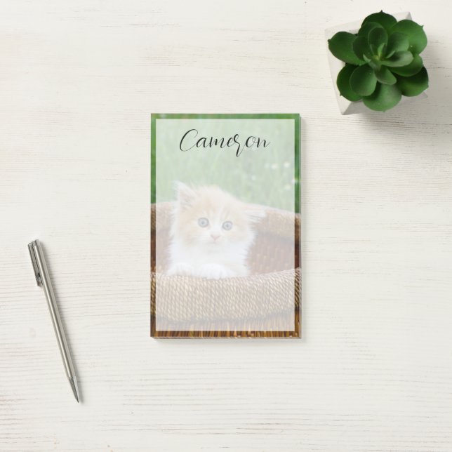 Post-it® Animaux de bébés cutest | Blue Eyed Kitten (Bureau)