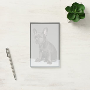 Post-it® Animaux de bébés cutest   Blue French Bulldog Pupp