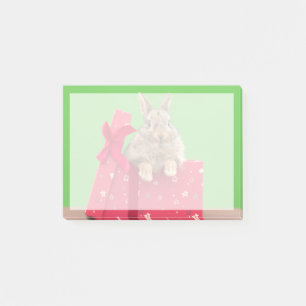 Post-it® Animaux de bébés cutest   Bunny vacances de Noël