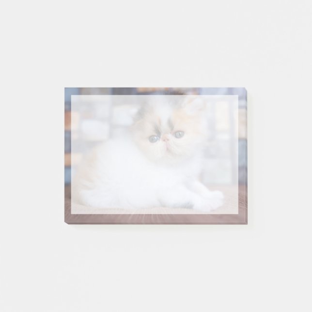 Post-it® Animaux de bébés cutest | Calico Persian Kitten (Devant)