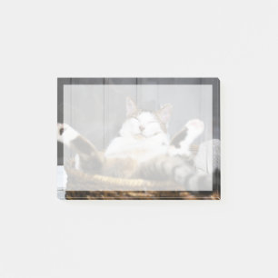 Post-it® Animaux de bébés cutest   Chat dans le lit