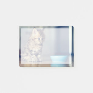 Post-it® Animaux de bébés cutest Chaton persan aux yeux b