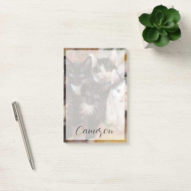 Post-it® Animaux de bébés cutest | Chatons noirs et blancs (Bureau)