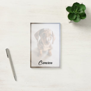 Post-it® Animaux de bébés cutest   Chiot Brown