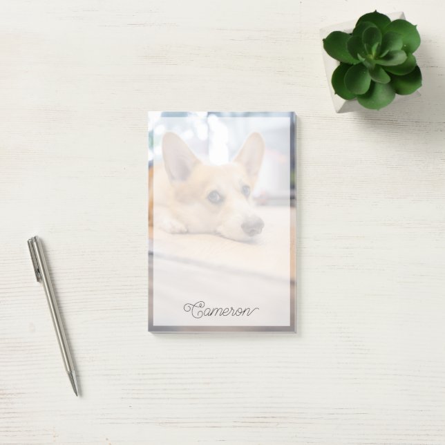 Post-it® Animaux de bébés cutest | Chiot de Corgi au sol (Bureau)