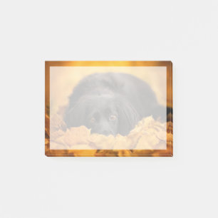 Post-it® Animaux de bébés cutest Chiot noir espagnol