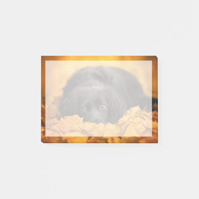 Post-it® Animaux de bébés cutest | Chiot noir espagnol (Devant)