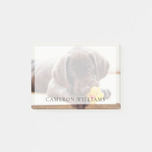 Post-it® Animaux de bébés cutest   Chocolat Labrador Puppy