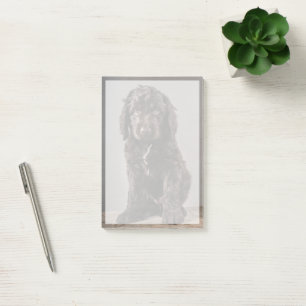 Post-it® Animaux de bébés cutest Cockapoo Puppy