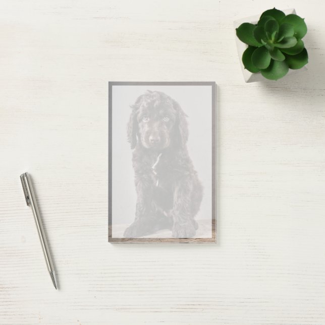 Post-it® Animaux de bébés cutest | Cockapoo Puppy (Bureau)