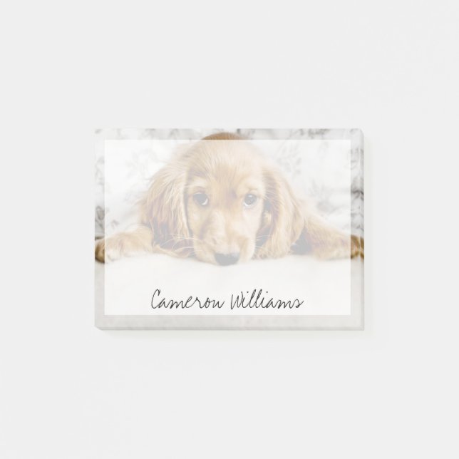 Post-it® Animaux de bébés cutest | Cocker Spaniel (Devant)