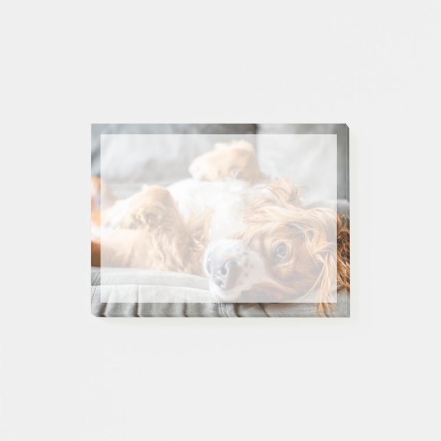 Post-it® Animaux de bébés cutest | Cocker Spaniel (Devant)