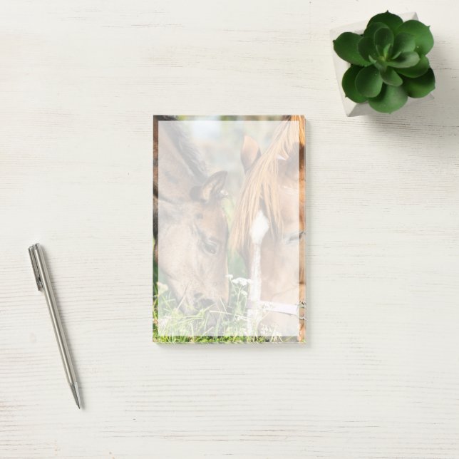 Post-it® Animaux de bébés cutest | Colt à cheval (Bureau)