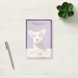Post-it® Animaux de bébés cutest   Corgi Puppy Skull Bandan