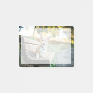 Post-it® Animaux de bébés cutest Corgi Puppy sur un banc