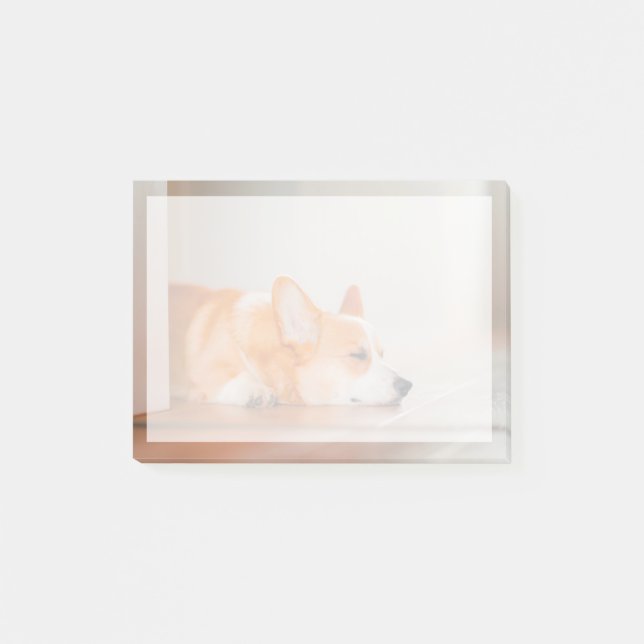 Post-it® Animaux de bébés cutest | Corgi Sleeping (Devant)