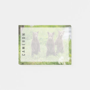 Post-it® Animaux de bébés cutest Cubes d'ours Brown Kamch