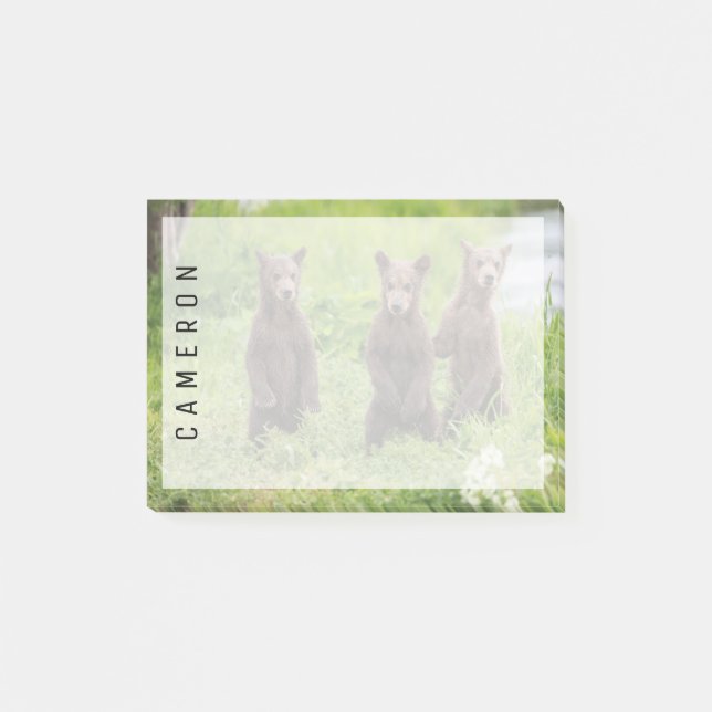 Post-it® Animaux de bébés cutest | Cubes d'ours Brown Kamch (Devant)