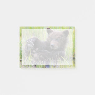 Post-it® Animaux de bébés cutest Cute Brown Bear Cub Joue