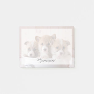 Post-it® Animaux de bébés cutest   Cute Corgi Chipies dans 