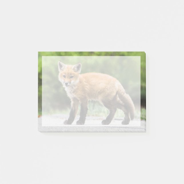 Post-it® Animaux de bébés cutest | Cutey Fox (Devant)