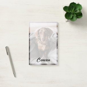 Post-it® Animaux de bébés cutest Dachshund Dachshund Dach
