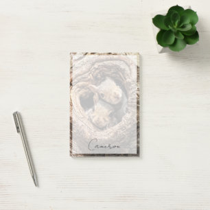 Post-it® Animaux de bébés cutest Deux jeunes écureuils