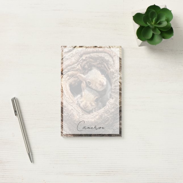 Post-it® Animaux de bébés cutest | Deux jeunes écureuils (Bureau)