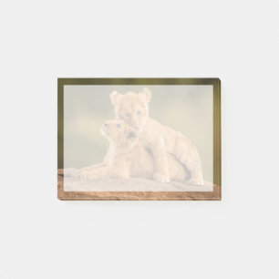Post-it® Animaux de bébés cutest Deux Lions Cubs