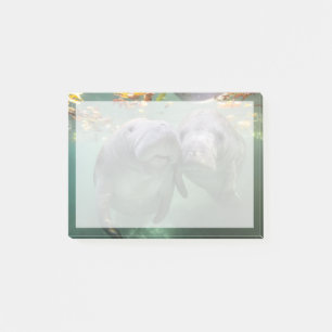 Post-it® Animaux de bébés cutest Deux Manatees
