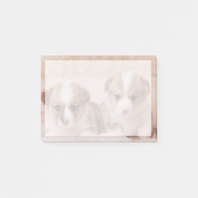 Post-it® Animaux de bébés cutest | Deux Marionnettes Corgi (Devant)