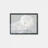 Animaux de bébés cutest | Flottant de Loutres de m