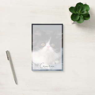 Post-it® Animaux de bébés cutest   Fluffy B&W Kitten