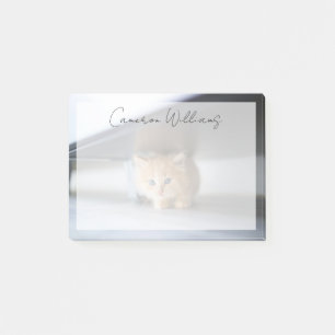 Post-it® Animaux de bébés cutest   Fluffy Orange Kitten