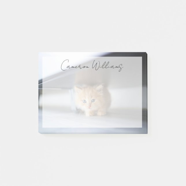 Post-it® Animaux de bébés cutest | Fluffy Orange Kitten (Devant)
