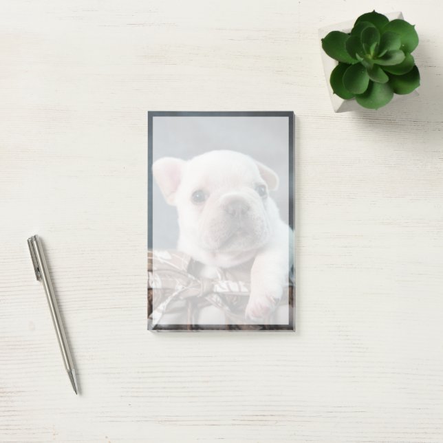 Post-it® Animaux de bébés cutest | French Bulldog (Bureau)