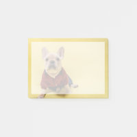 Animaux de bébés cutest | French Bulldog habillé
