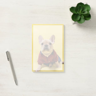 Post-it® Animaux de bébés cutest   French Bulldog habillé